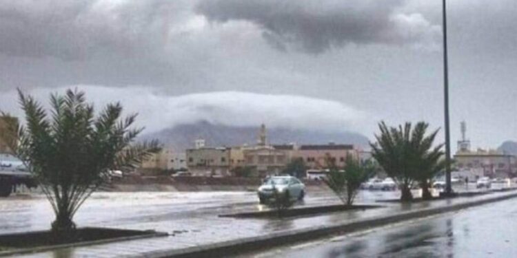 حالة الطقس اليوم الإثنين 13-2-2023 في مصر