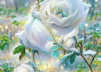 ماذا بعدما ينتهي اللقاء…