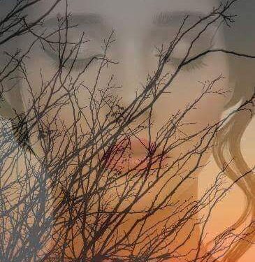 الشاعرة مرفت محمد تكتب … وشوشت الصدف