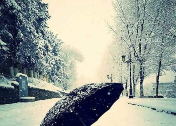 لَا صَوْمُ دَهْرٍ بِدُونِ فِطِرٍ