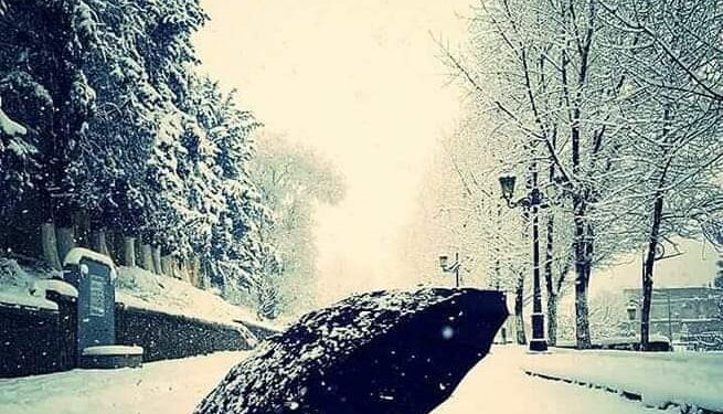 لَا صَوْمُ دَهْرٍ بِدُونِ فِطِرٍ