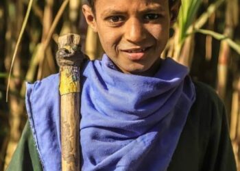 جمّع جراحك عِدَّها …