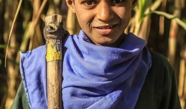 جمّع جراحك عِدَّها …