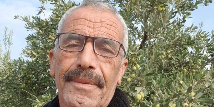 الحلم الزائل …