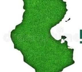 خضراء يَبْقَى حُبُّهَا،،،،