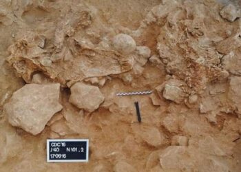 علماء الآثار يكتشفون أمرا مثيرا في كهف إنسان النياندرتال بإسبانيا