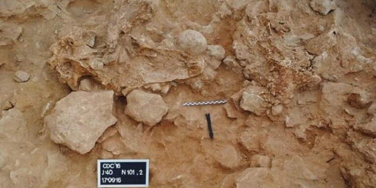 علماء الآثار يكتشفون أمرا مثيرا في كهف إنسان النياندرتال بإسبانيا