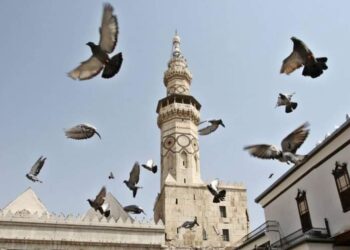 أصبحتَ يا ابنَ الماءِ ضيفًا