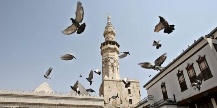 أصبحتَ يا ابنَ الماءِ ضيفًا