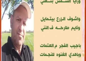 ماليش ف التوهه