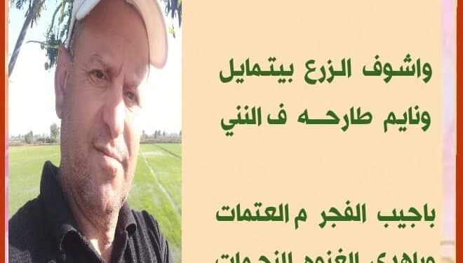 ماليش ف التوهه