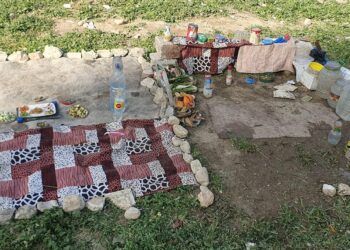 أحلام لطفولة بريئة