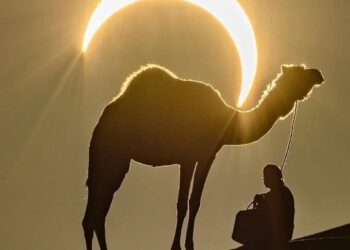 الـشهـوة الـخـفـيـة …