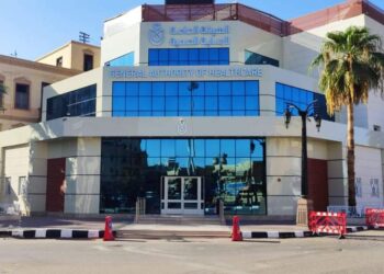 الصحة  تنفذ عددًا من البرامج التدريبية علي أمراض الكُلى بالأقصر  ‏