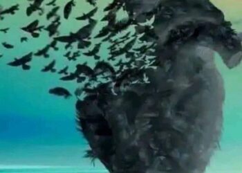 يــا شــوق  …