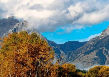 سحر الخريف …