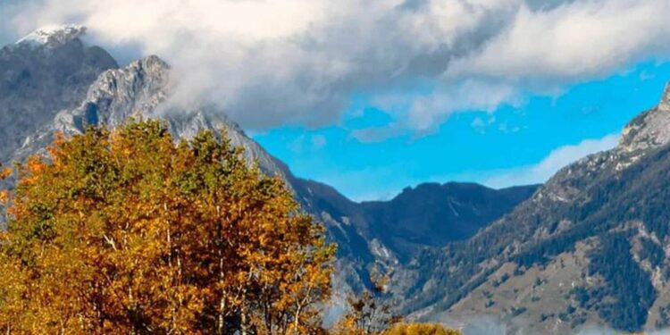 سحر الخريف …