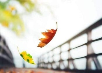 إلـيـك أعـود …