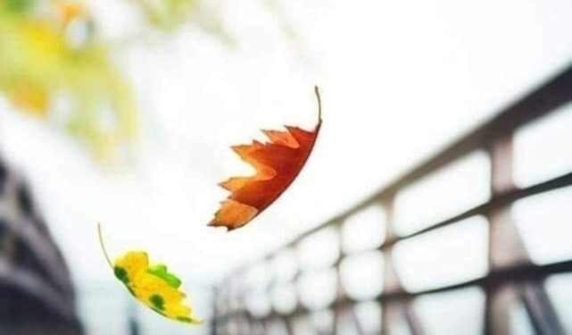 إلـيـك أعـود …