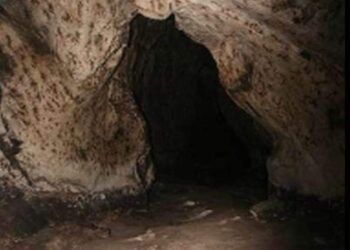 من دهاليز الروح …