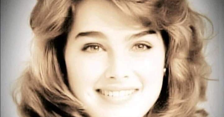 نوافذ حالمة