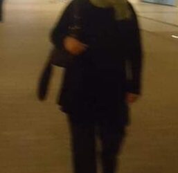 ظلّ العشق   للشاعرة  فاطمة نصيبى …