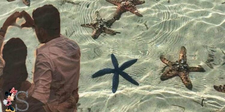 تـحـت الـمـاء …