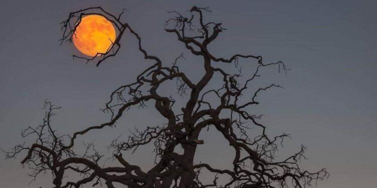 شمس وقمر (البسيط)