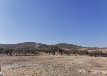 زغوان تونس: استرجاع ضيعة دولية فلاحية بمساحة 430 هك.