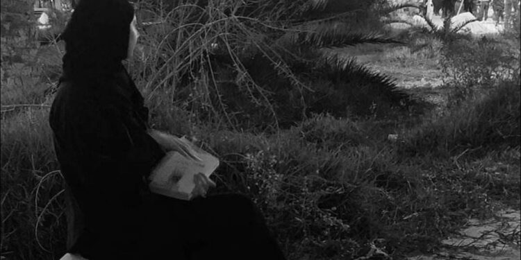 عندما بدأتُ الكتابة …