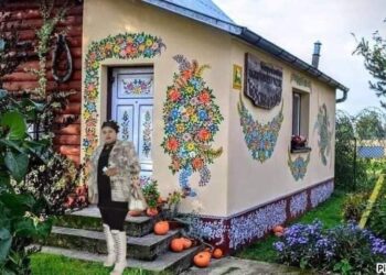 منيش عايزة …