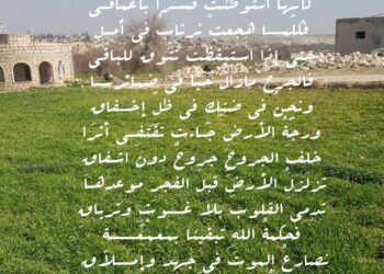 حـمـى الـفـؤاد …