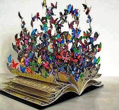 علاء المرقب يكتب …. لغة لاتصفك