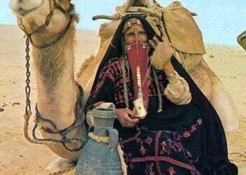 متبوع بالجرر … يا ناقد الشعر