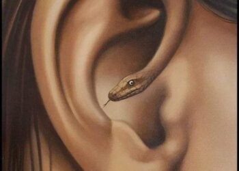 بقعـــــــة ضــــــــوء …