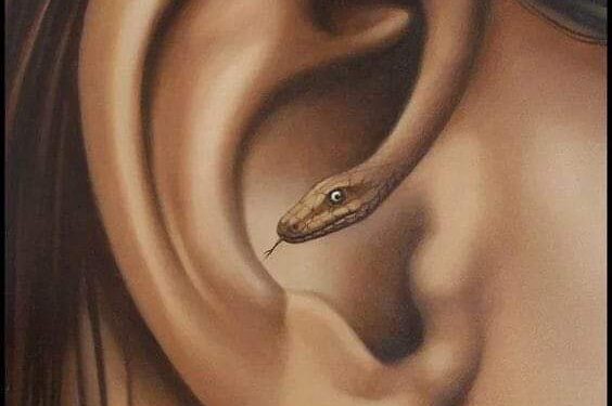 بقعـــــــة ضــــــــوء …