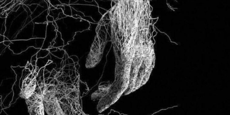 الأديبة مفيدة بن علي تكتب…الواقفان