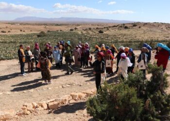 اختتام تظاهرة “تويزة” بسمّامة: من الحرفي الفلاحيّ إلى الملتقى الفكري