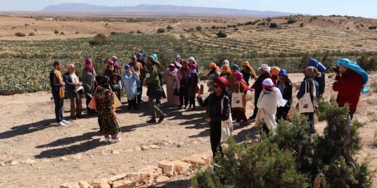 اختتام تظاهرة “تويزة” بسمّامة: من الحرفي الفلاحيّ إلى الملتقى الفكري