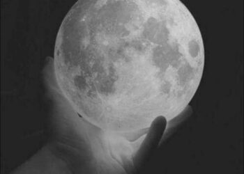 ضجيج الرؤى …