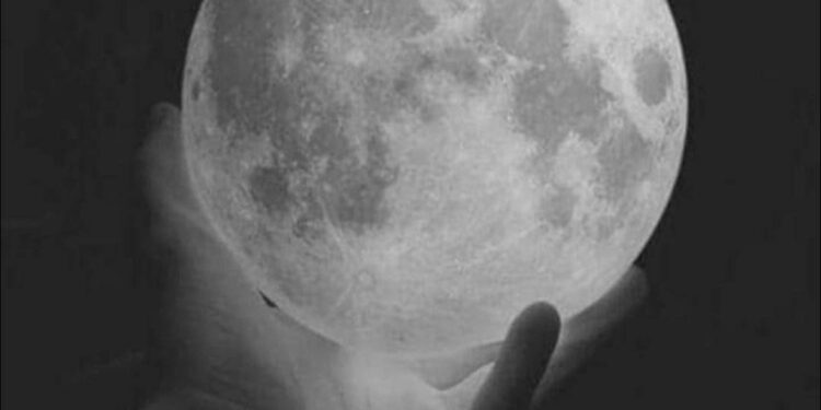 ضجيج الرؤى …