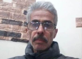 أنثى أشعاري …