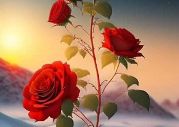 جيكور  العشق ..