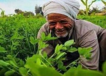 المعدة فاضية  …