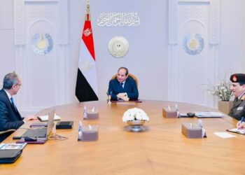 السيسي …..بذل أقصى جهد لتسهيل الحياة اليومية  للمواطن المصري