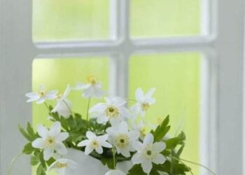 أَكُفُ على أَدِيمُ السِحابْ …