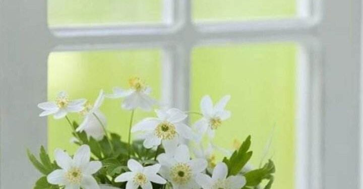 أَكُفُ على أَدِيمُ السِحابْ …