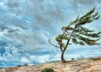 أجراس الفرقة…