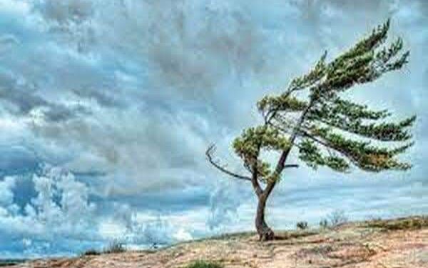 أجراس الفرقة…