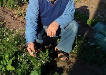 ،،،،،،زرعنا الودّ ،،،،،،،